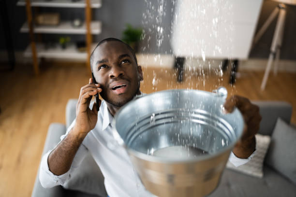 Best Professional water damage repair  in Ironton, MO