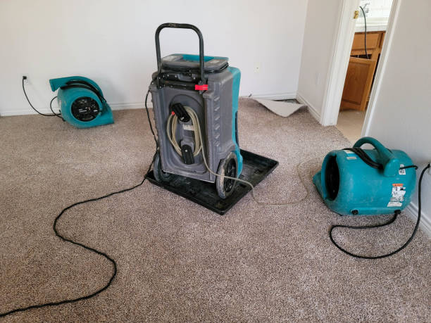 Best Local water damage restoration  in Ironton, MO