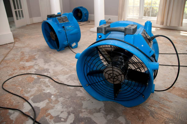 Best Water damage restoration near me  in Ironton, MO