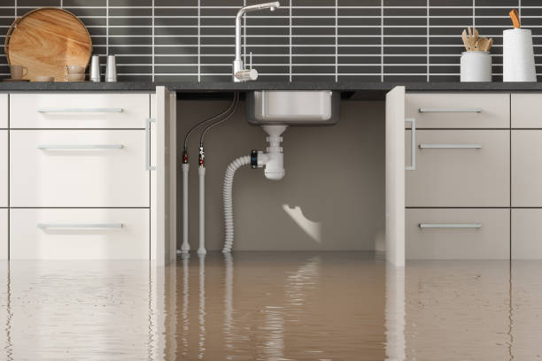 Best Water damage restoration near me  in Ironton, MO
