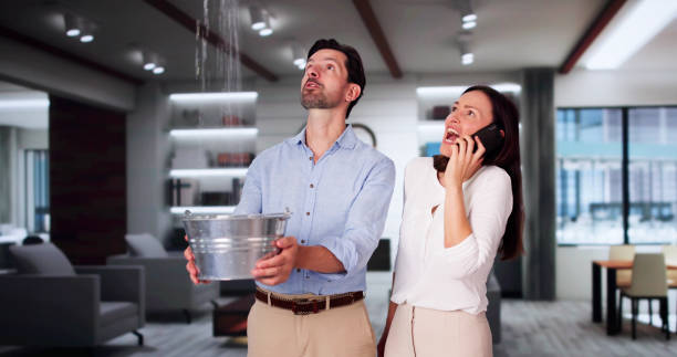 Best Basement water damage restoration  in Ironton, MO
