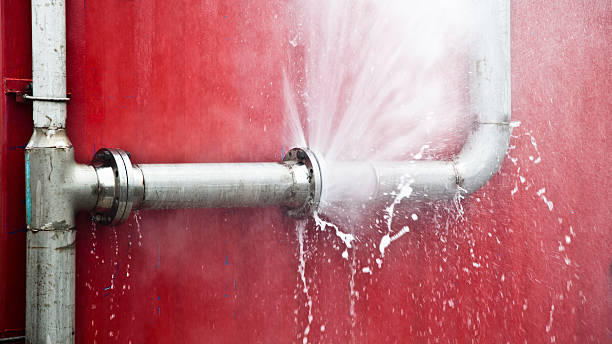 Best Water damage restoration process  in Ironton, MO